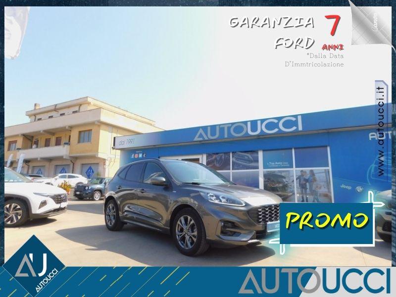 egauto